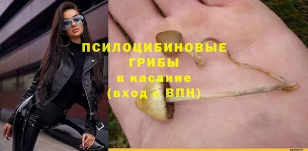 метадон Касимов