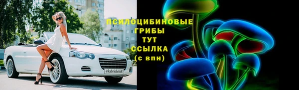 стафф Карпинск