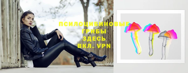 метадон Касимов