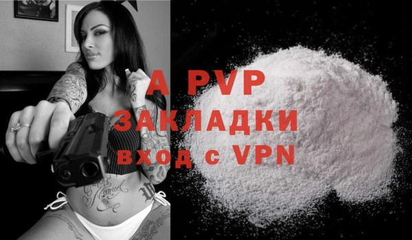apvp Каменка