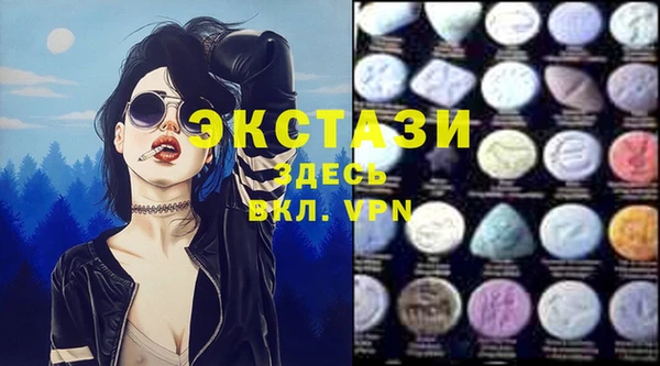 стафф Карпинск