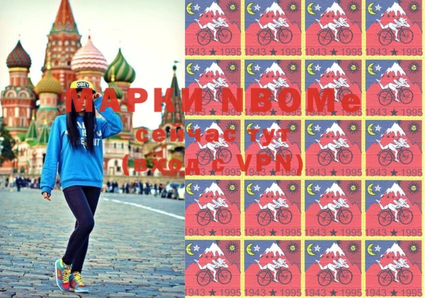стафф Карпинск