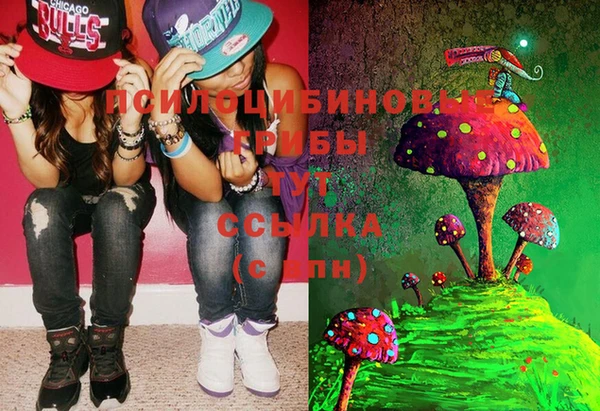 mdma Карталы