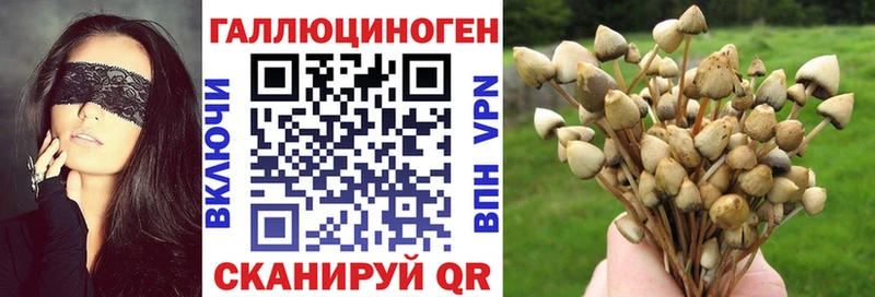 Псилоцибиновые грибы ЛСД  сколько стоит  Пестово 